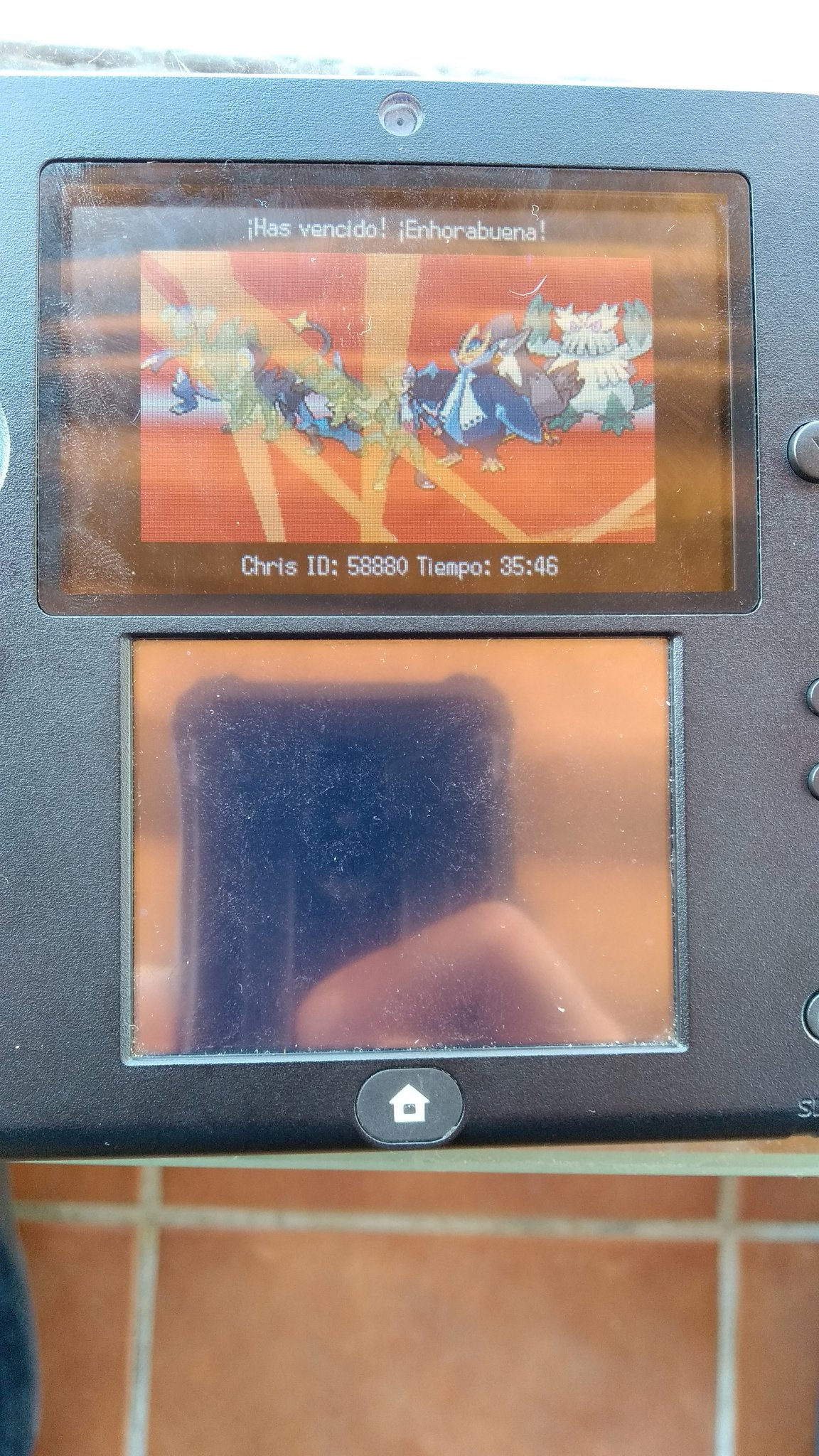 HallOfFamePokemonPlatinum.png