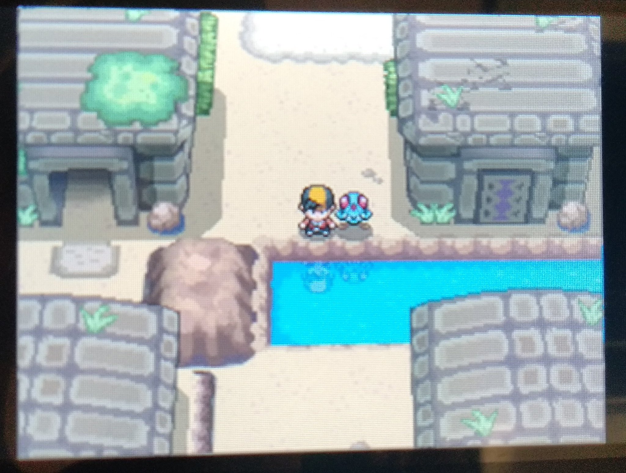 CapturaPokemonSoulSilverRuinas.jpeg