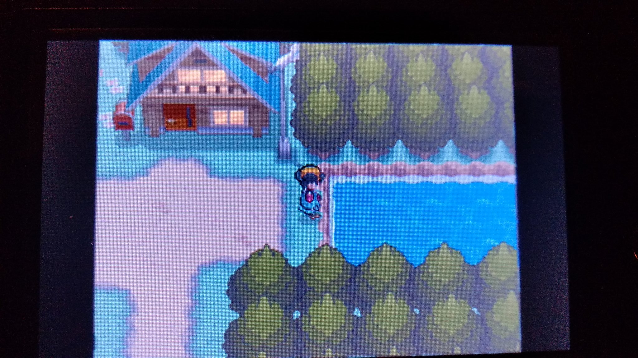 CapturaPokemonSoulSilverPueblo.jpeg